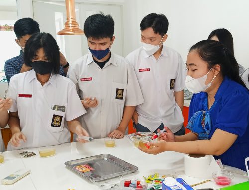  Decorate Jelly Art! It’s So Fun!
